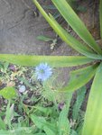 IMG_20150602_170703.jpg