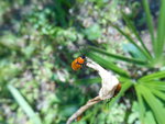DSCN1330.resized.JPG