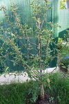 IMG_4699_opt.jpg