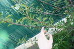 IMG_4701_opt.jpg
