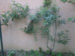 photo6.JPG