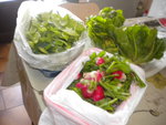 DSCN6223.JPG