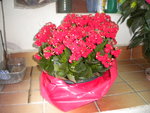 DSCN6229.JPG