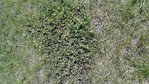 20150607_112900.jpg