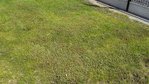 20150607_112923.jpg