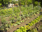 DSCN6242.JPG