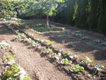 DSCN6243.JPG