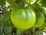 DSCN6241.JPG