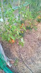 WP_20150609_20_03_10_Pro.jpg