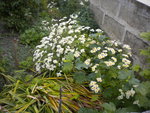 DSCN6239.JPG