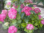 DSCN6235.JPG