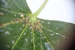 IMG_4800.JPG