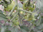 DSCN3954.JPG