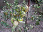 DSCN3956.JPG
