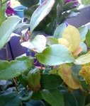 WP_20150611_002.jpg