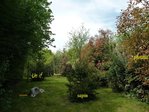 du fond du petit jardin 22 avril 2015 les arbres.jpg