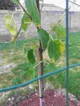 20150610_071251comp.jpg