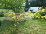 26456_DSCN1778.jpg