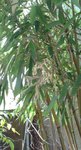 20150613_092212.jpg