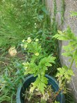 20150613_143028.jpg