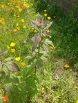 20150613_143109.jpg