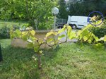 26456_DSCN1778.jpg
