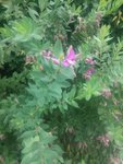 20150613_104051.jpg
