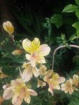 20150613_104059.jpg
