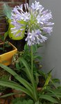 IMG_20150615_091048.jpg