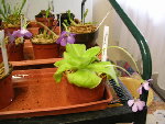 DSCN5113.JPG