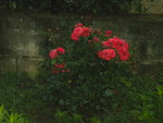 DSCN6247.JPG