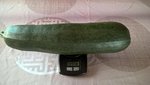Hier nous avons récolté des tomates,fenouil,oignons blancs,salades et deux belles courgettes à farcir,la première de plus de 2700 g a été mangée ce midi et l'autre de 2600 g attend patiemment à la cave.