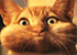 _niala_.gif