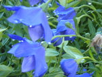 DSCN6284.JPG
