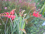 DSCN6283.JPG