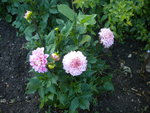 DSCN6282.JPG