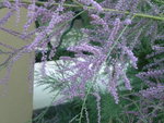 DSCN6281.JPG