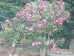 DSCN6280.JPG