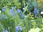 DSCN6277.JPG