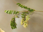 DSCF5841.JPG