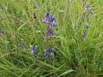 DSCF5321.JPG