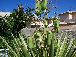 100_1025b.jpg