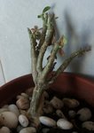 20150625_172526.jpg