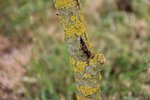 IMG_6167.JPG