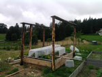 abri tomate étape 2 2.jpg