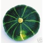 Courge Hokkaïdo Goog 2.JPG