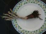 20150626_180955.jpg
