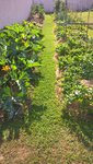 WP_20150627_08_59_39_Pro.jpg