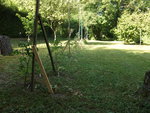mur à tomates.jpg