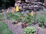 P7020001.jpg